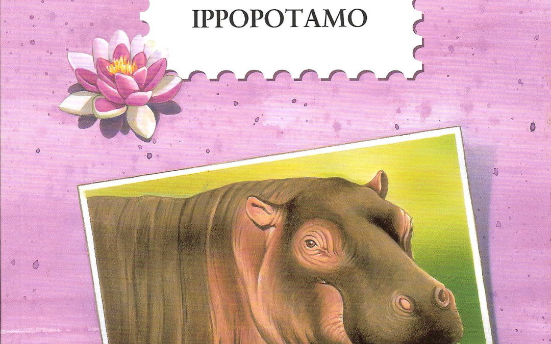 Un’amica ippopotamo