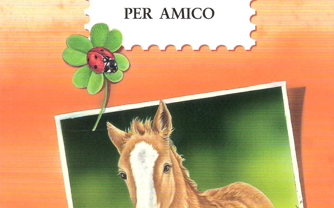 Un cavallo per amico